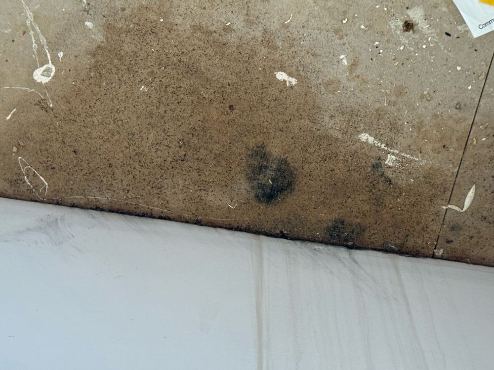 Water entering through a bedroom ceiling, with mould following it, found during a defect investigation inspection in Forestville