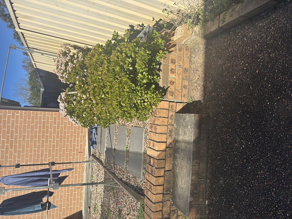 Cracking, recorded during a pre-purchase inspection in Castle Hill