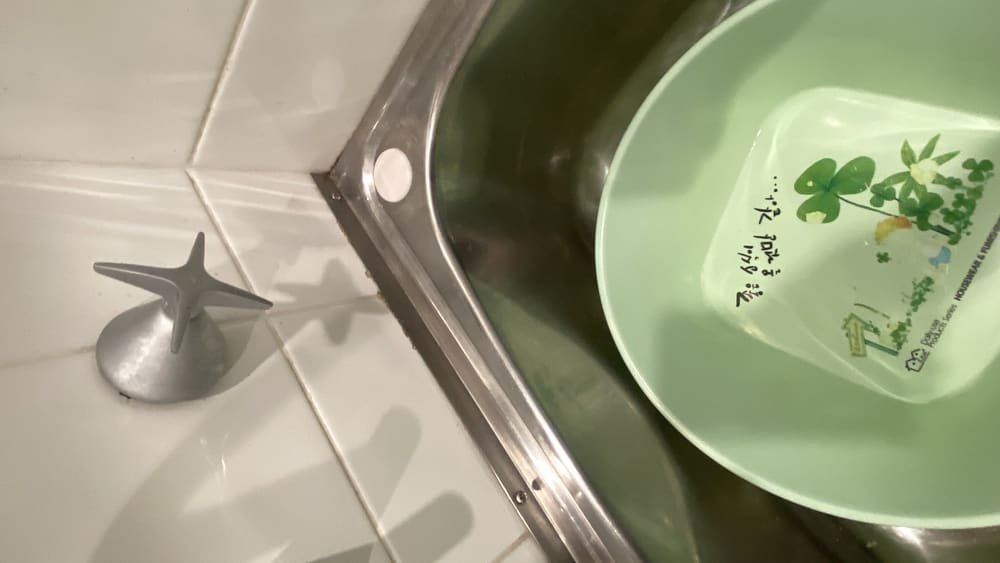 Laundry tub, recorded during a pre-purchase inspection in Castle Hill
