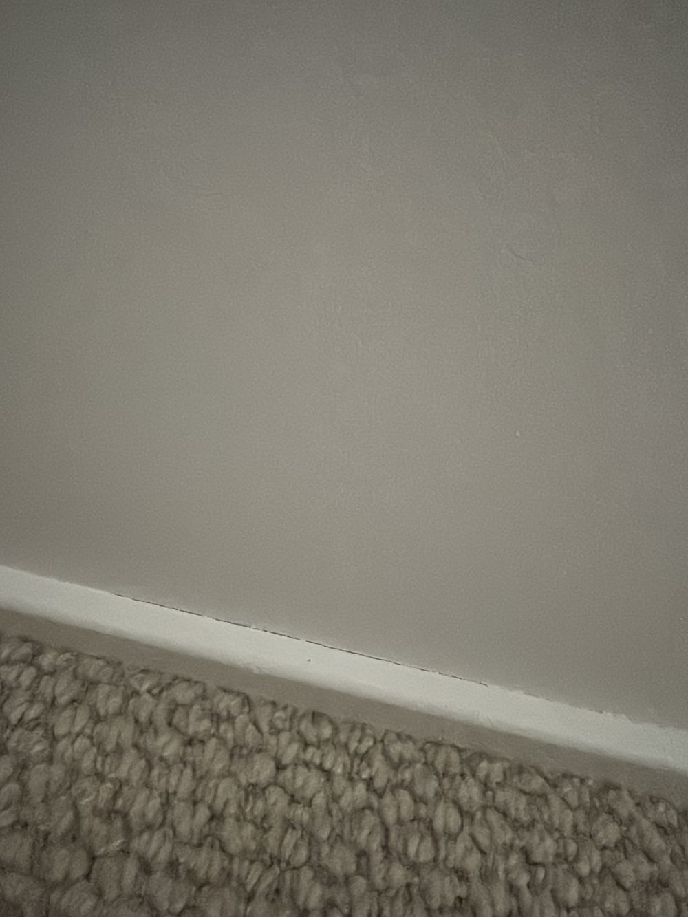 Second reading confirming a damp wall behind the ensuite shower screen, Castle Hill
