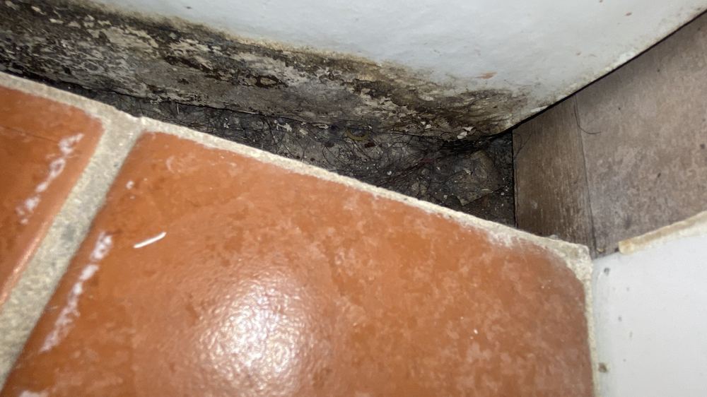 Upstairs bathroom junctions showing no membrane or sealant, found during a pre-purchase building and pest inspection in Castle Hill