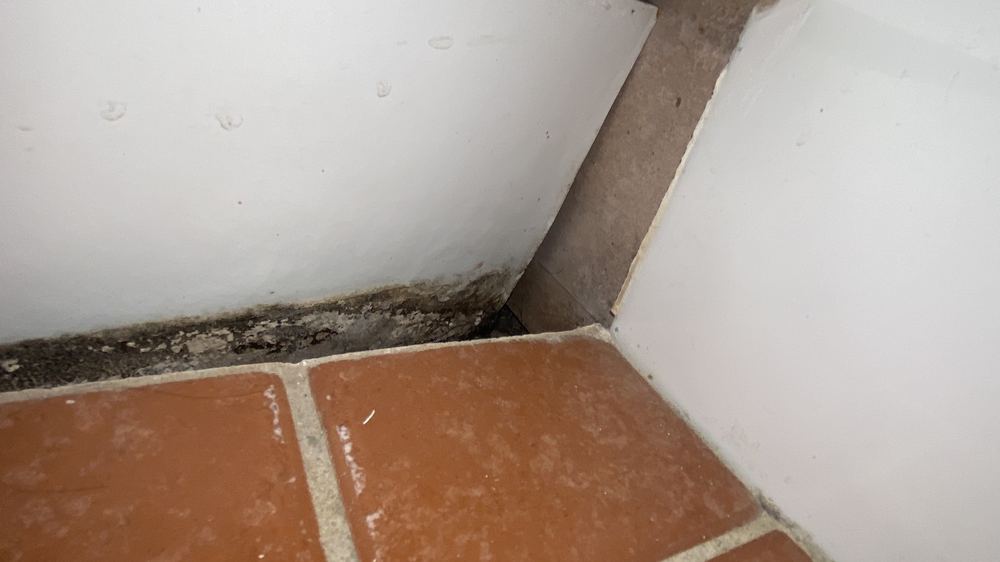 An older bathroom with no visible membrane: what it means before you buy