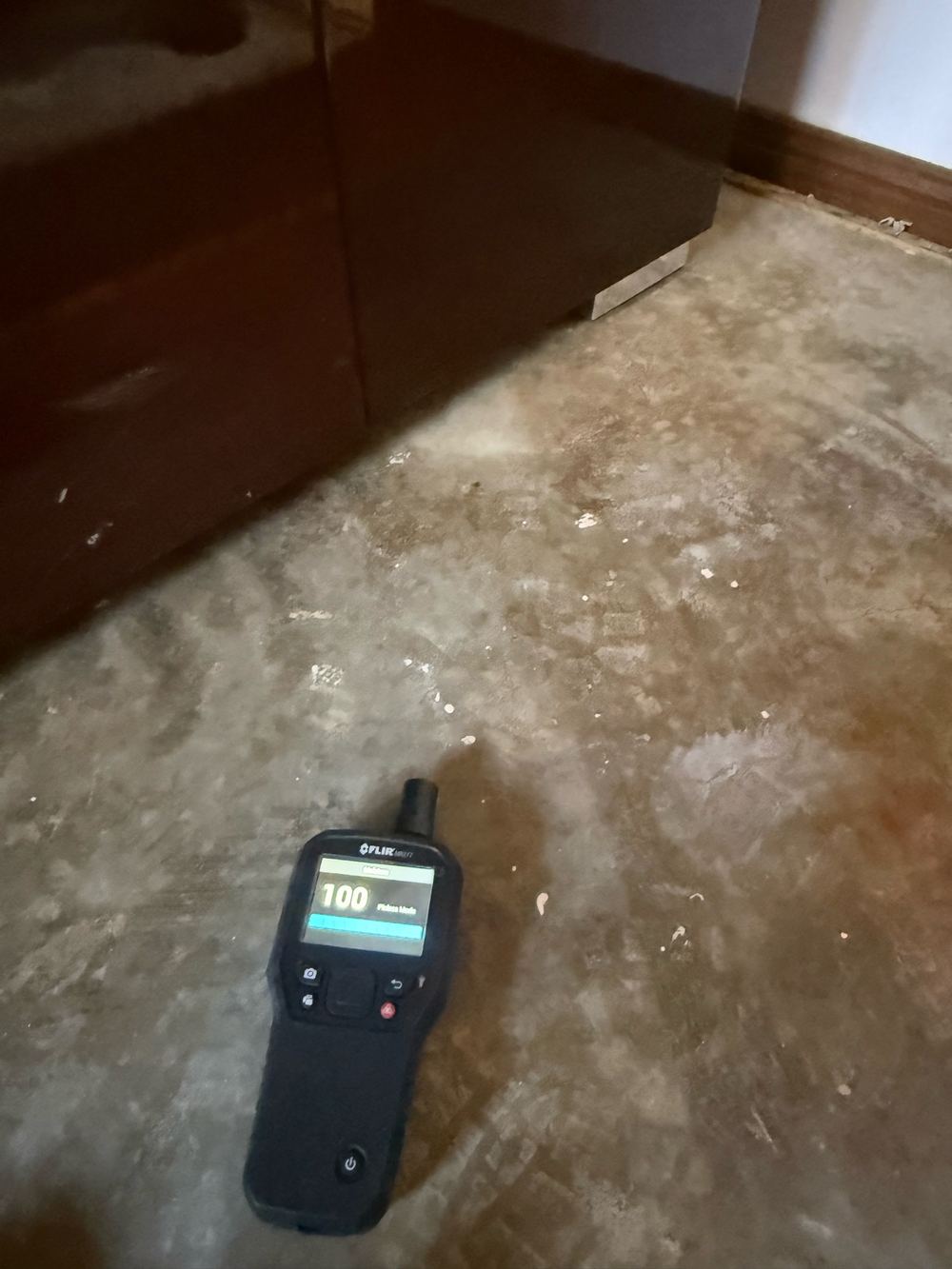 Water damage across the wall and floor of a ground floor study, found during a defect investigation inspection in Forestville